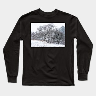 Winters touch Long Sleeve T-Shirt